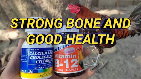 para saan ang b12 sa manok|Paraan sa pagbibigay ng B.